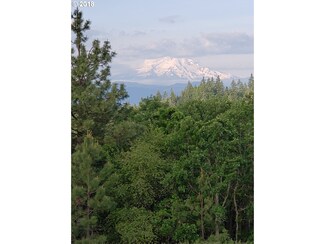 56 Mountain View Rd, Lyle, WA 98635
