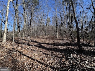 57 Saint Andrews Way, Ellijay, GA 30536