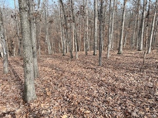 Lot 15 Block 2 Deal Ln, Bella Vista, AR 72714