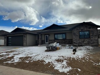 1746 Lynx St, Delta, CO 81416