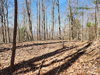2252 Cutshall Town Rd, Marshall, NC 28753