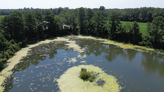 220 Dillon Rd (28 Acres), Thomasville, GA 31757