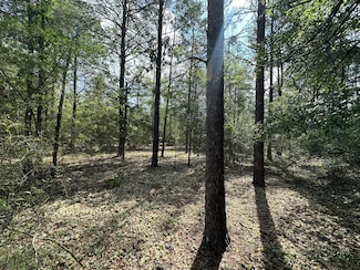 10 AC+/- Shotgun Trail, Crestview, FL 32539