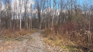 2119 Hayford Rd, Rock Creek, OH 44084