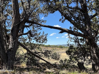 000 W Palomino Dr, Red Lake, AZ 86046