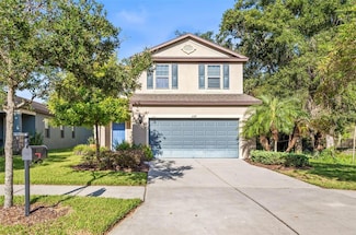 6317 Magnolia Park Blvd, Riverview, FL 33569