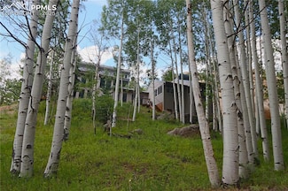 75 Pitchblende Rd, Florissant, CO 80816
