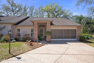 2341 Jasper Park Ct, Spring Hill, FL 34606