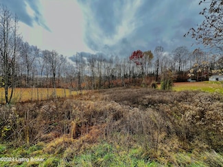 22 Hickory Ln, Russell Springs, KY 42642