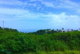Km 4.4 Carr 413, Rincon, PR 00677