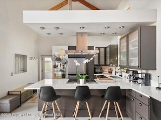 26 Bunker Loop, Aspen, CO 81611