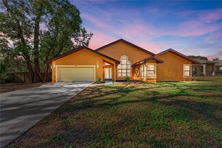 408 Wedgefield Place, Brandon, FL 33510