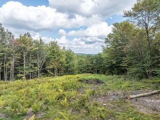 255 Vermont 8, Searsburg, VT 05363