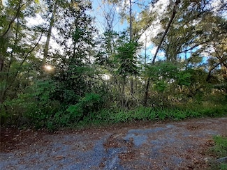 0 Blue Ridge Ave, Volusia Highlands, FL 32763