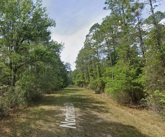 106 Northeast Ct, Georgetown, FL 32139