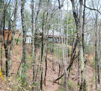870 Morton Dr, Ellijay, GA 30540