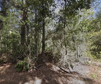 116 Terri Ave, Georgetown, FL 32139