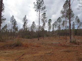 0 S Patten Rd Unit LotWP002, Sandy Hook, MS 39478