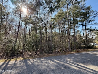 94167 Bayou Dr, Diamondhead, MS 39525