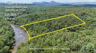 0 Peaceful Waters Ln Unit 7521131, Demorest, GA 30535