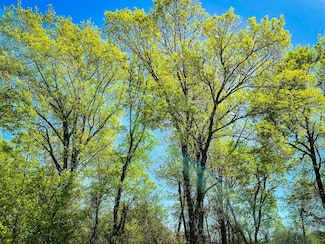 0 County Road 228, Cisco, TX 76437