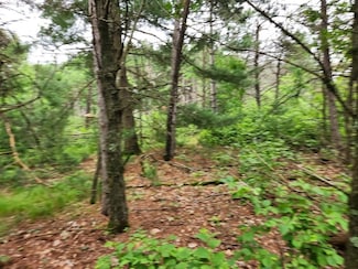 W3190 4th St E, Nekoosa, WI 54457