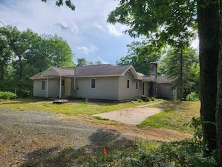7043 E 24th St, Chase, MI 49623