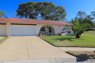 11300 Stansberry Dr, Port Richey, FL 34668