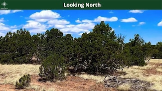 85 8070, Concho, AZ 85924