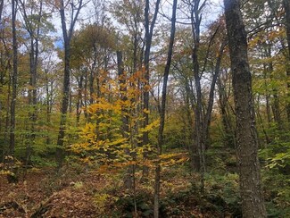 0 Softwood Rd, Elmore, VT 05680