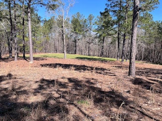 2296 Williams Rd, Thomson, GA 30824