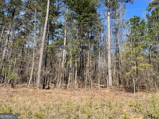 0 Jones Rd Unit 10486732, Fairburn, GA 30213