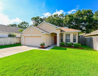 4615 Dunnie Dr, Tampa, FL 33614