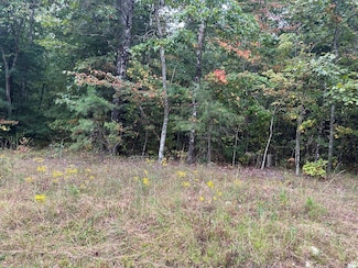 n/a Saint Anthony Dr, Jamestown, TN 38556