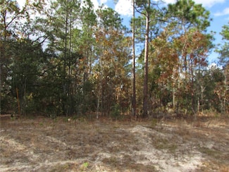 Lot 5 & 6 SW 168th Cir, Ocala, FL 34481