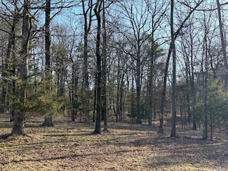 3 Polk County Road 168, Mena, AR 71953