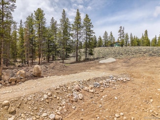 123 Birch Dr, Leadville, CO 80461