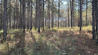 0 Buck Creek Rd Unit 25464933, Sylvania, GA 30467