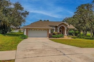 63 Forest Wood Ct, Spring Hill, FL 34609