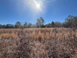 TBD Chair Rd Unit 30.20 Acres, Hemingway, SC 29554