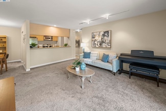 1087 Murrieta Blvd Unit 233, Livermore, CA 94550