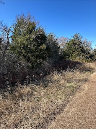 TBD Lake View Loop, Somerville, TX 77879