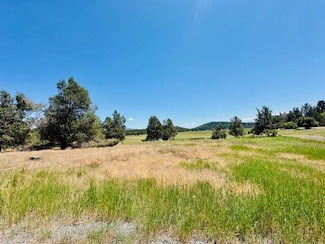 0 Murrelet Unit Lot 1130 220204672, Klamath Falls, OR 97601