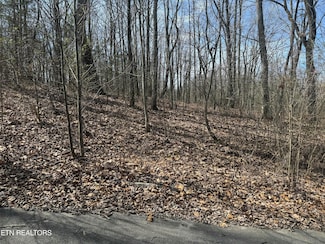 975 County Road 316, Niota, TN 37826