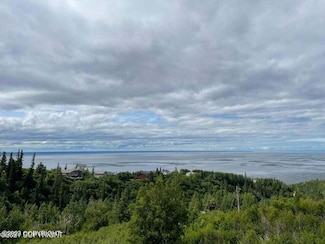 L15 B9 Paradise Valley, Anchorage, AK 99516