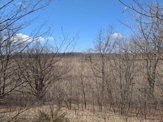 0 Butwell Part 2 Rd Unit 25018274, Bear Lake, MI 49614