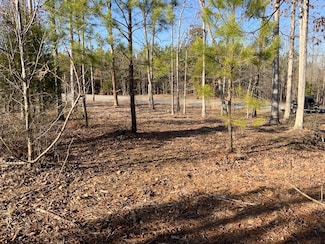 0 Walnut Grove Rd, Dover, TN 37058