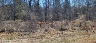 5438 Wild Turkey Rd, Whitsett, NC 27377