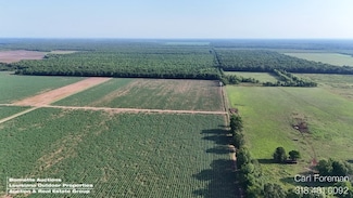 1235 Louisiana 107, Morrow, LA 71356
