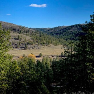 Lot 2 Scenic Short Plat Dr, Davenport, WA 99122